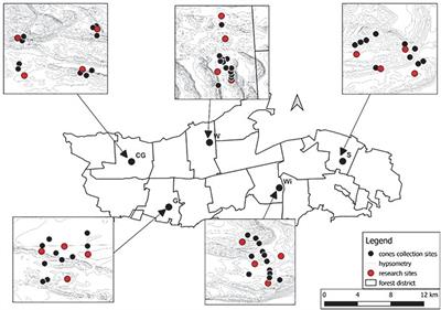 Quantitative and qualitative assessment of pine seedlings under controlled undergrowth disturbance: Fire and soil scarification